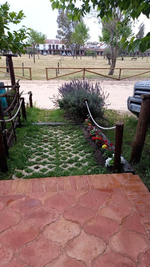 Jardines Del Acebron Guest House El Rocío Eksteriør bilde