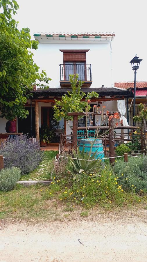 Jardines Del Acebron Guest House El Rocío Eksteriør bilde